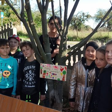 Święto Drzewa 2021 w Szkole Podstawowej w Masanowie